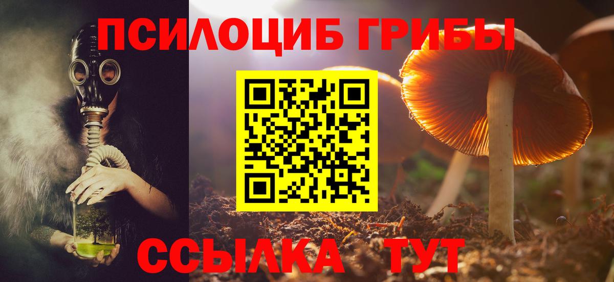 Галлюциногенные грибы Cubensis  Псилоцибиновые грибы ЛСД  Вход с VPN  Выборг 